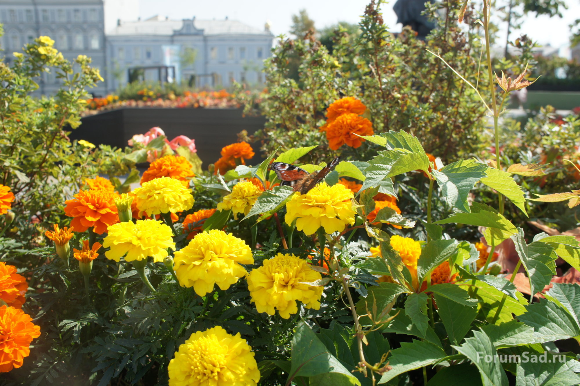 DSC01801