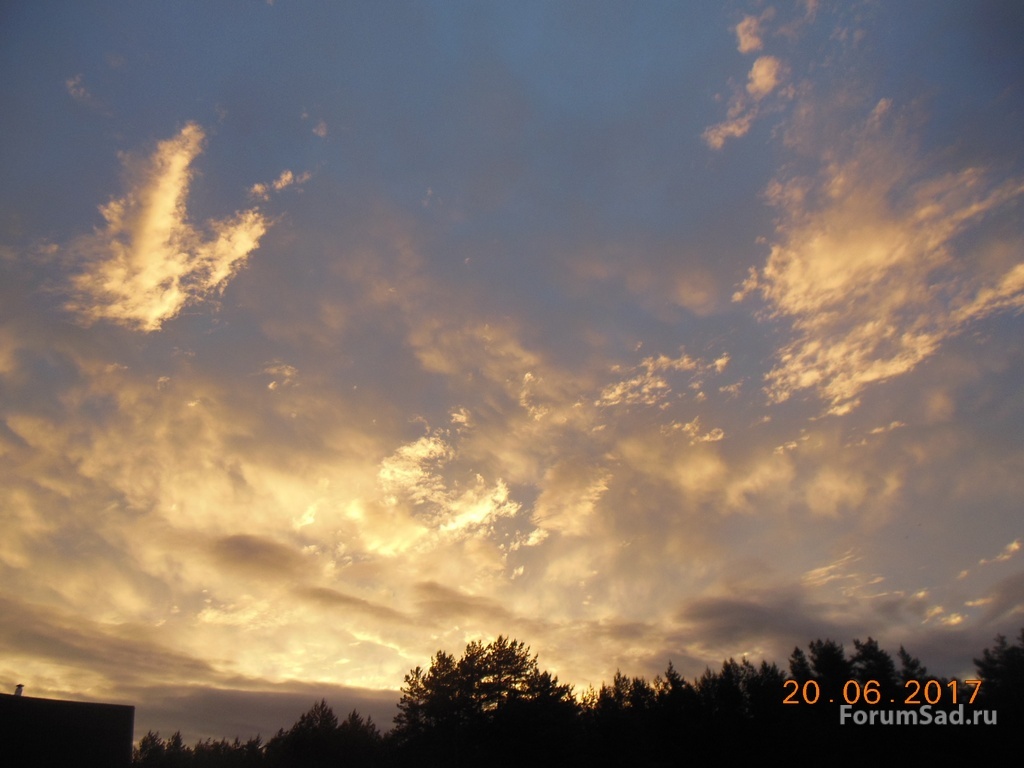 DSCN2594