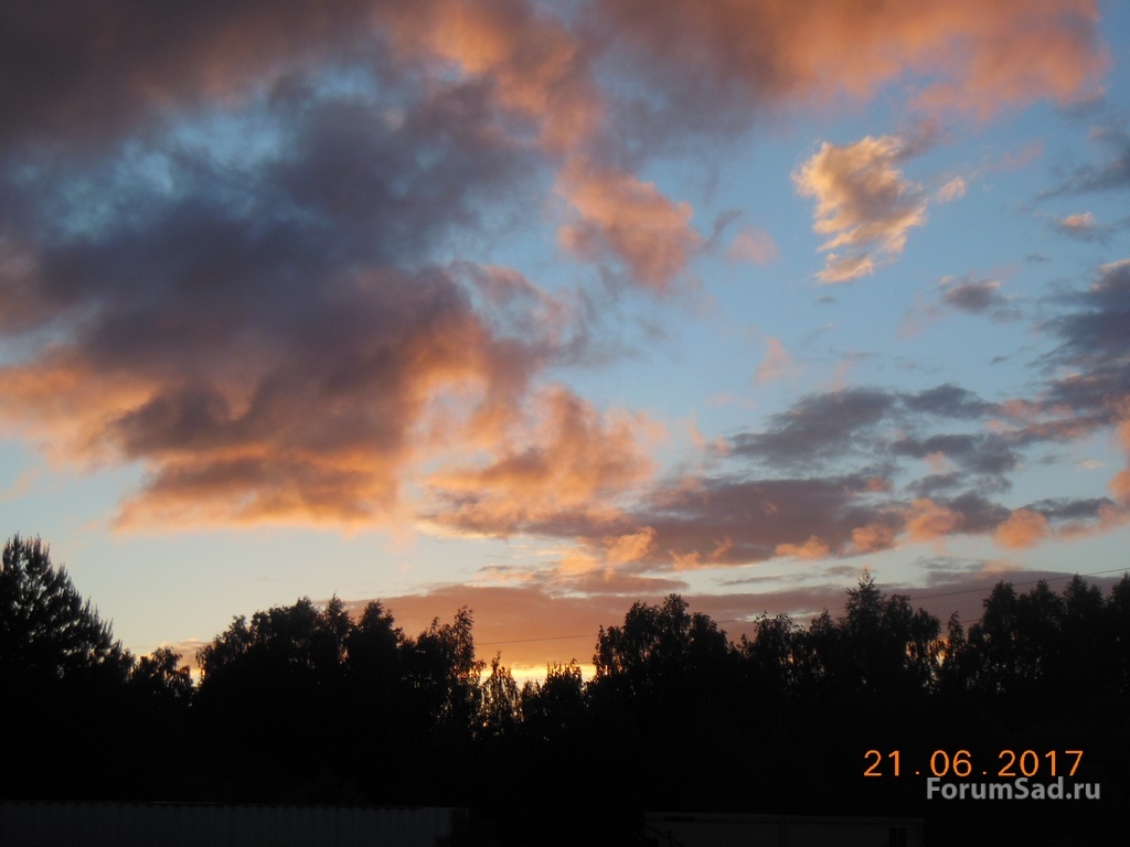 DSCN2600