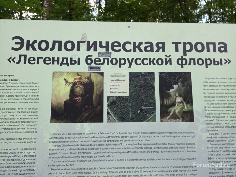 экологическая тропа