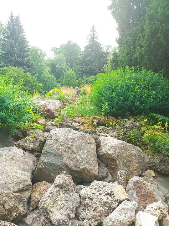 Европа