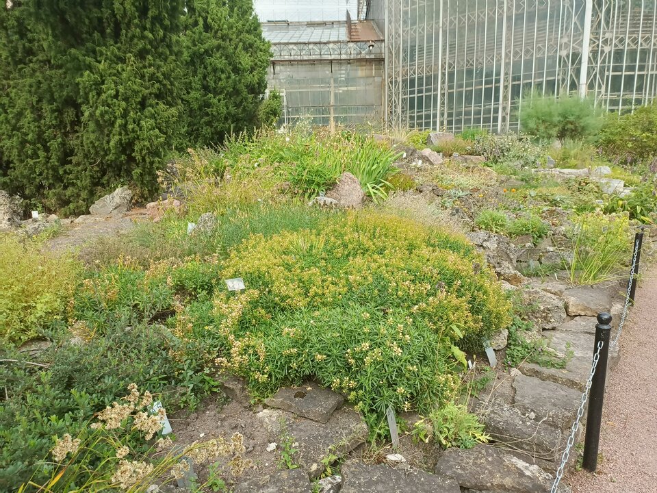 Европа