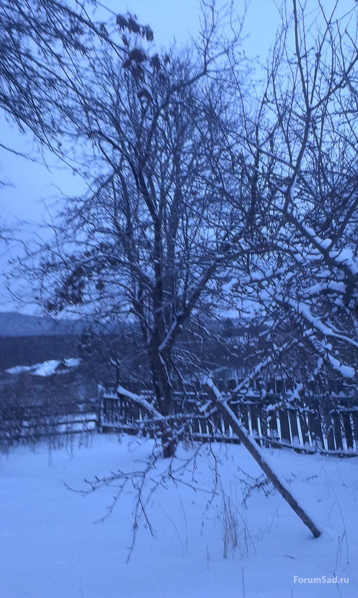 IMAG0088