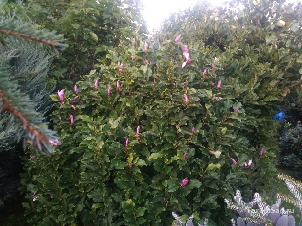 IMG-20160821-WA0013