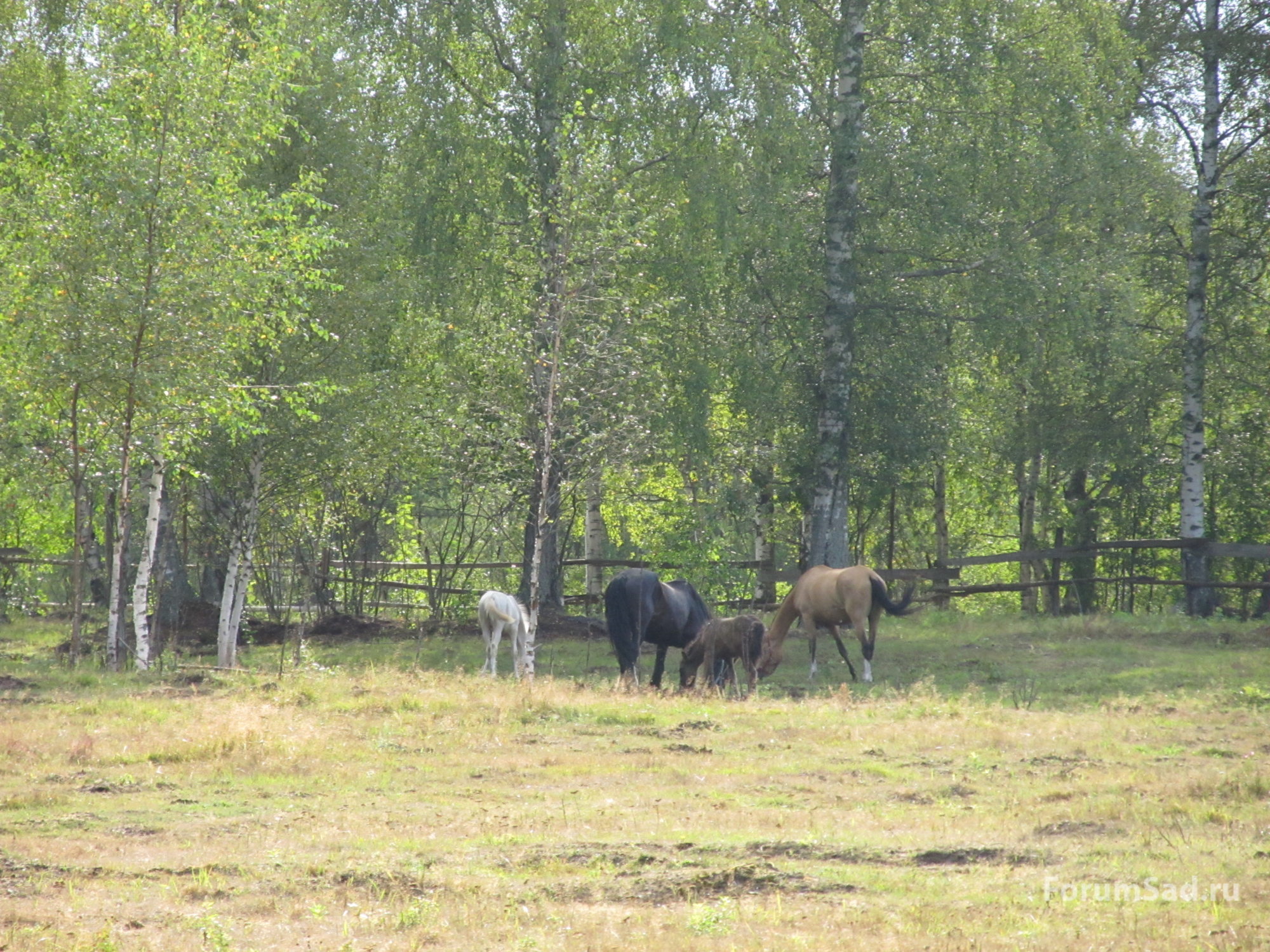 IMG_0719