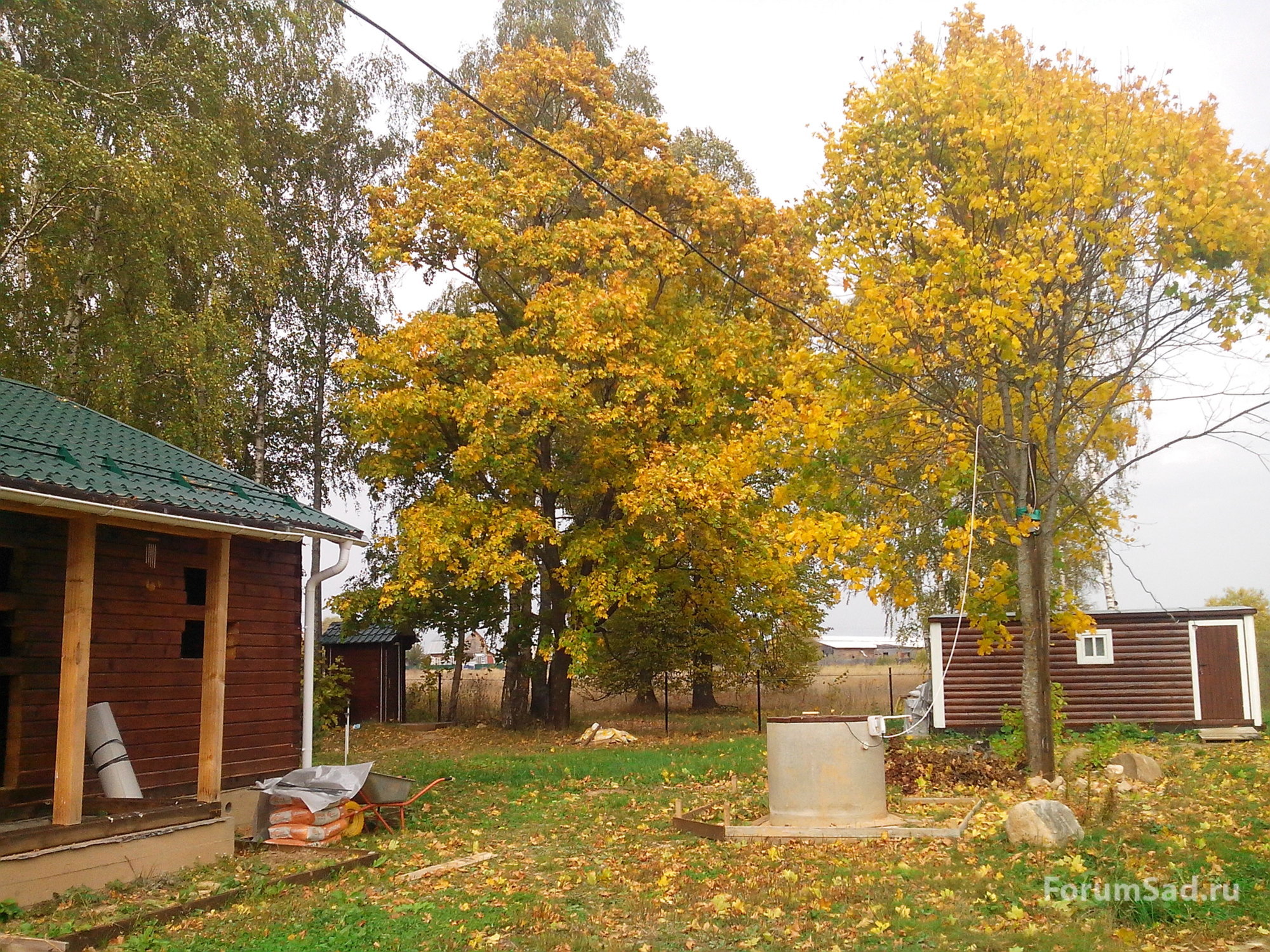 IMG_20140923_111203