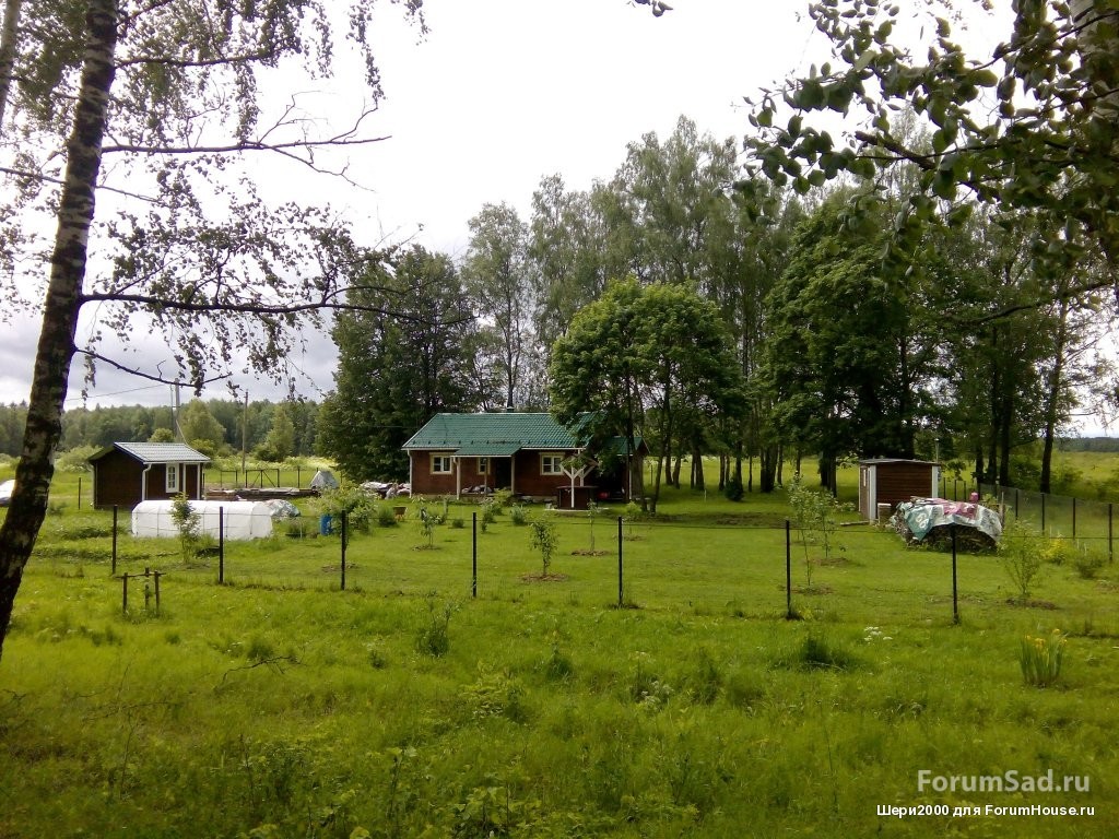 IMG_20160612_115234
