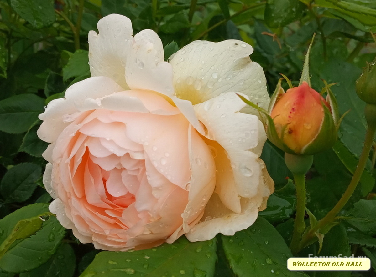 IMG_20190614_094156