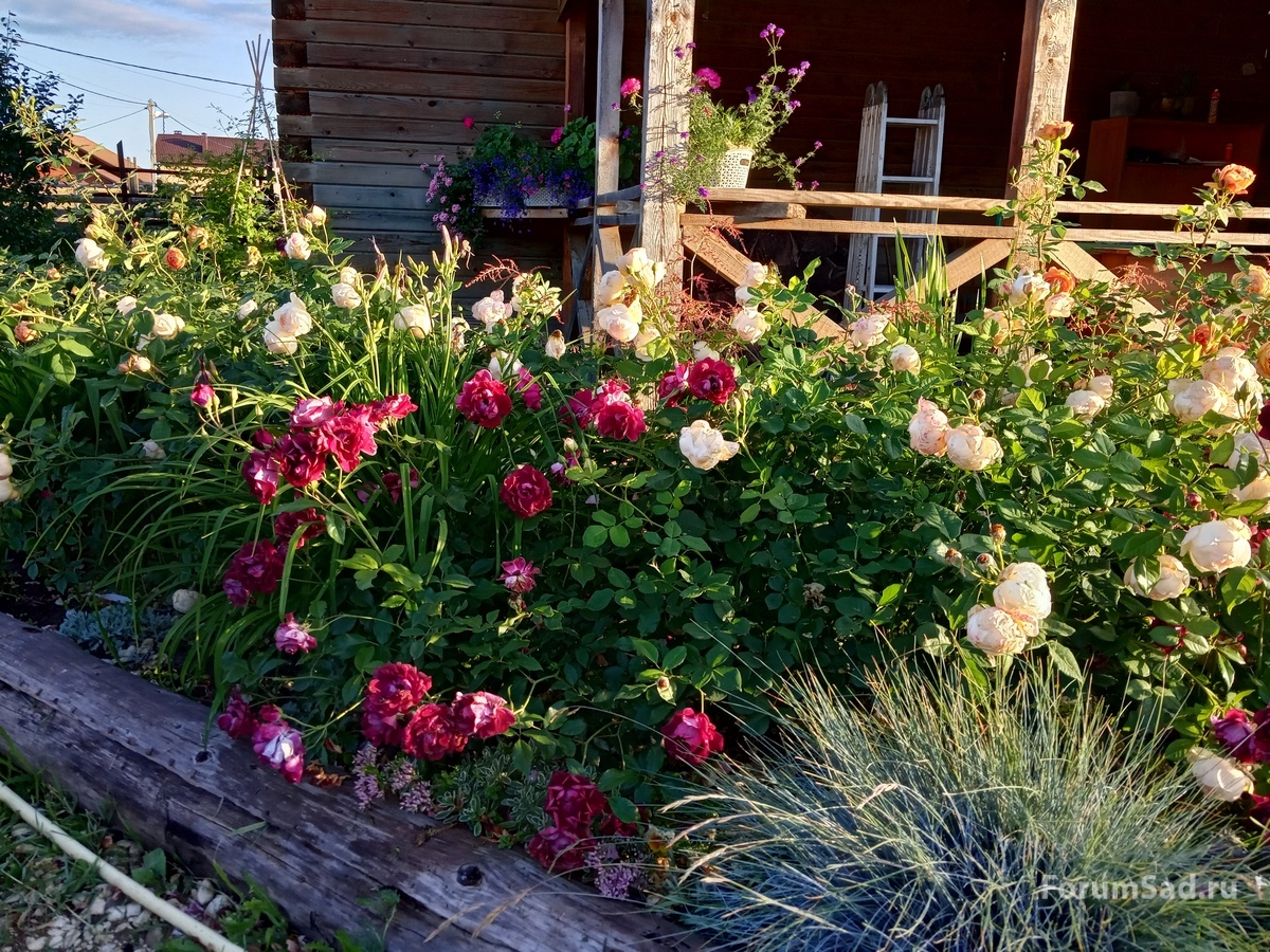 IMG_20190702_195742