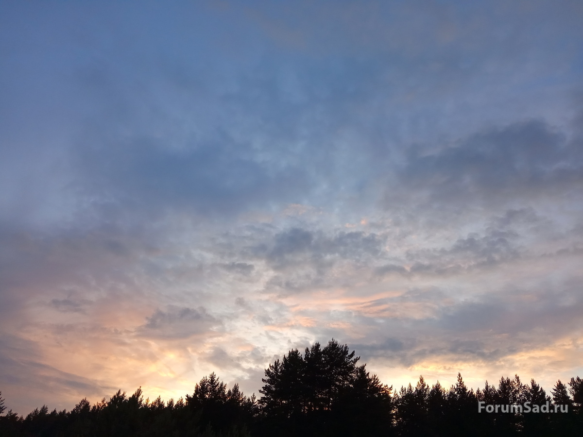 IMG_20190710_211303