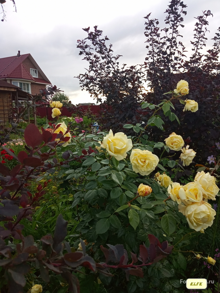 IMG_20190711_195407