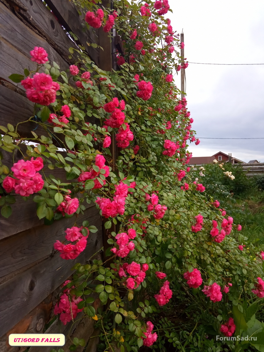 IMG_20190711_195650