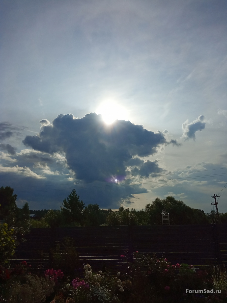 IMG_20190723_074743