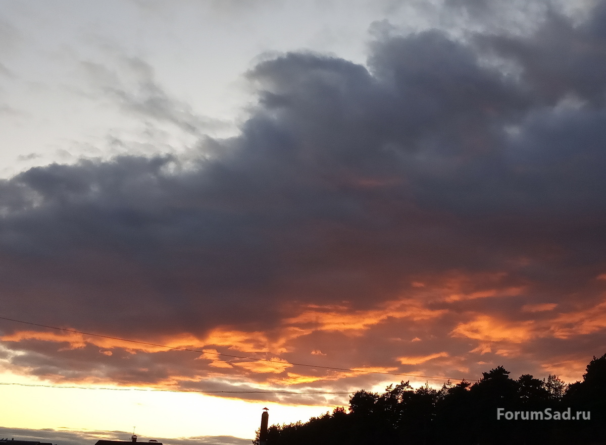 IMG_20190923_182525