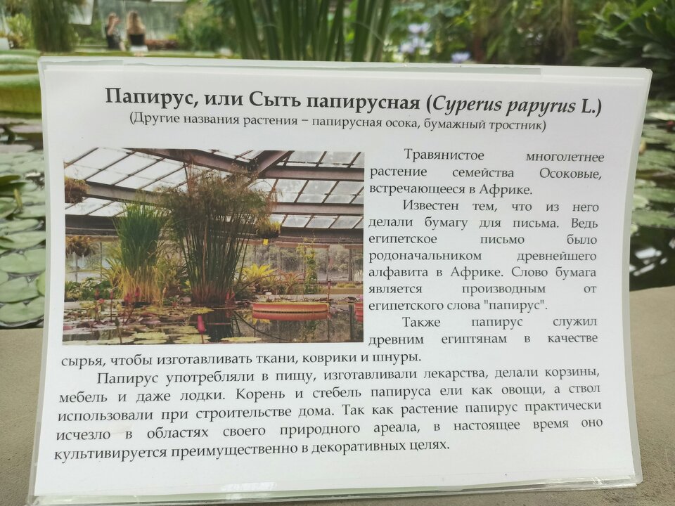 оранжерея водная