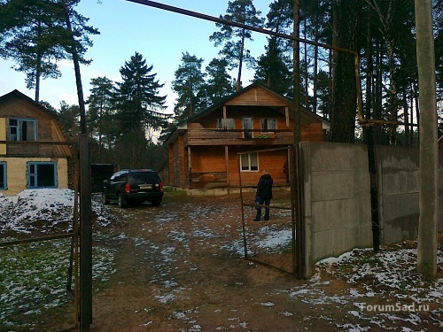 Покупка