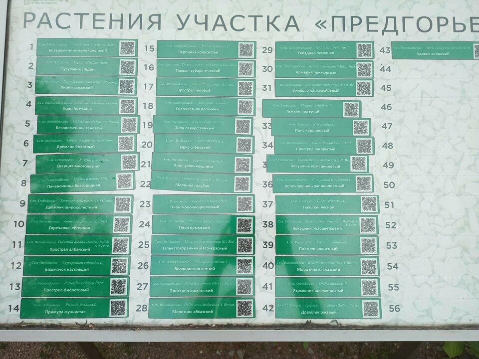 Предгорье