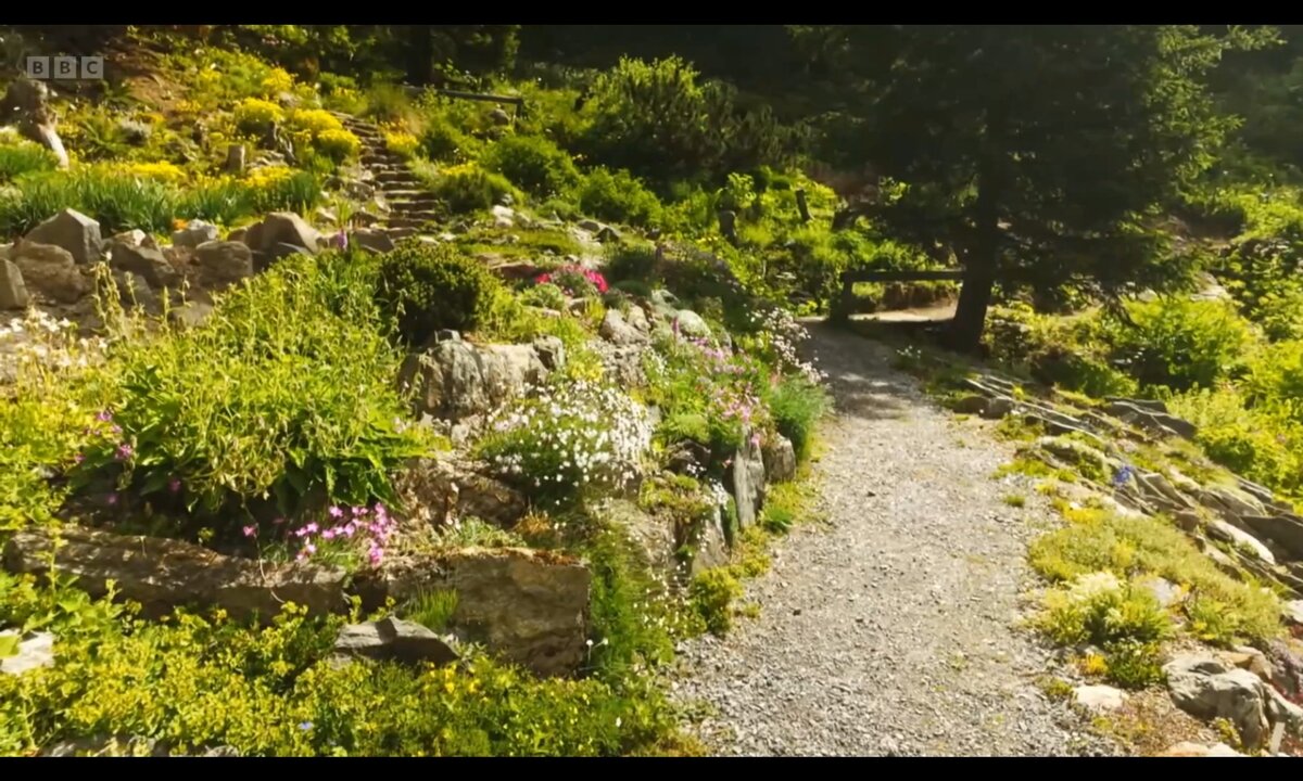 Screenshot_20260529_090707_com.yandex.browser