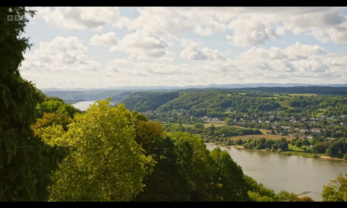 Screenshot_20260529_114813_com.yandex.browser
