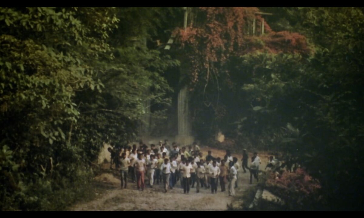 Screenshot_20260530_161236_com.yandex.browser