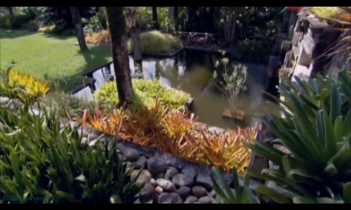 Screenshot_20260530_205454_com.yandex.browser