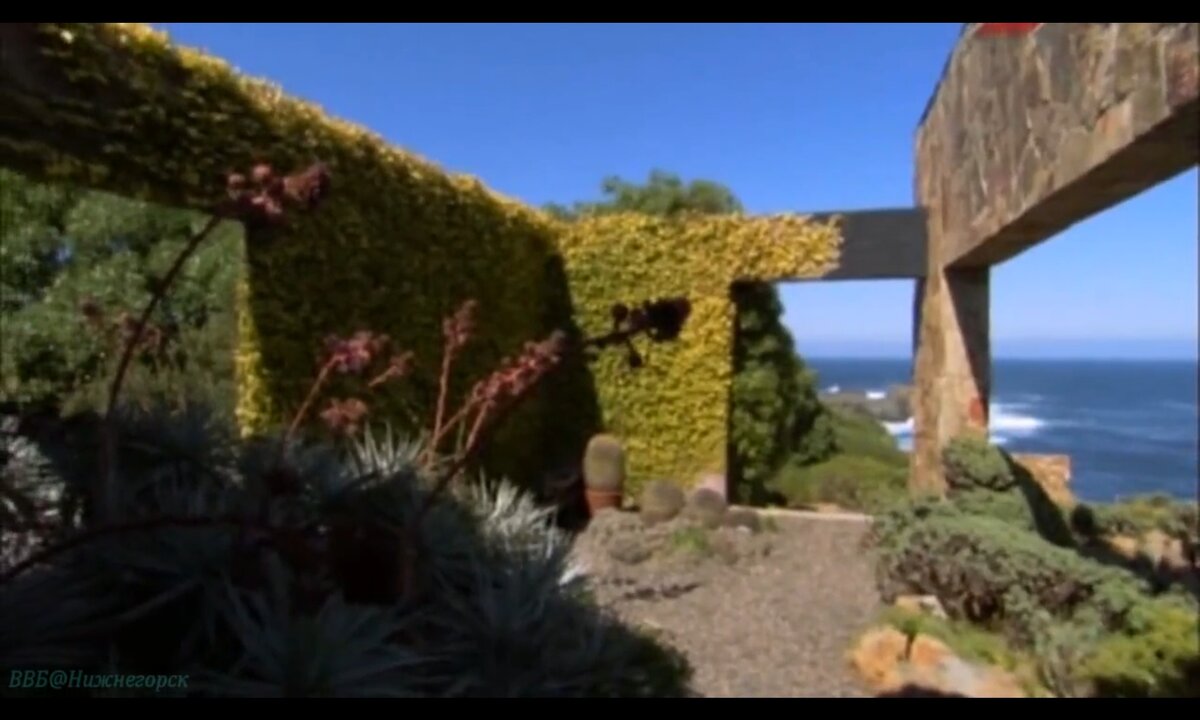 Screenshot_20260530_235236_com.yandex.browser